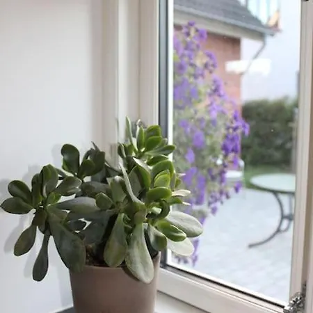 Wonderful House & Garden *
